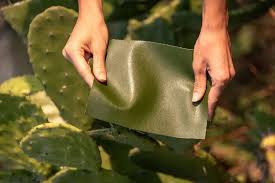 Beyond Fashion: Plant-Based Leather Sprouts into Diverse Industries