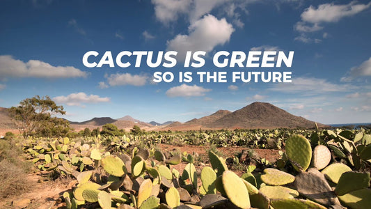 Cactus Leather Myths: Debunking Misconceptions in the Industry